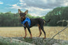 Glow Harness - Plush Step In Glitter GLOW Dog Harness (Blue) - Quick Release Patented Snap Button