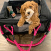 Pet Carrier - Roverlund Pet Carrier (Car Seat + Carrier + Mobile Dog Bed) - Black / Magneta