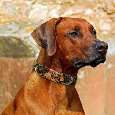 Argus - Argus "Bogolan" Dog Collar, Leash - PU Animal Friendly Vegan Leather