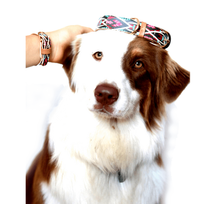 Argus - Argus "Boho" Dog Collar, Leash - PU Animal Friendly Vegan Leather