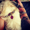 Argus - Argus "Boho" Dog Collar, Leash - PU Animal Friendly Vegan Leather