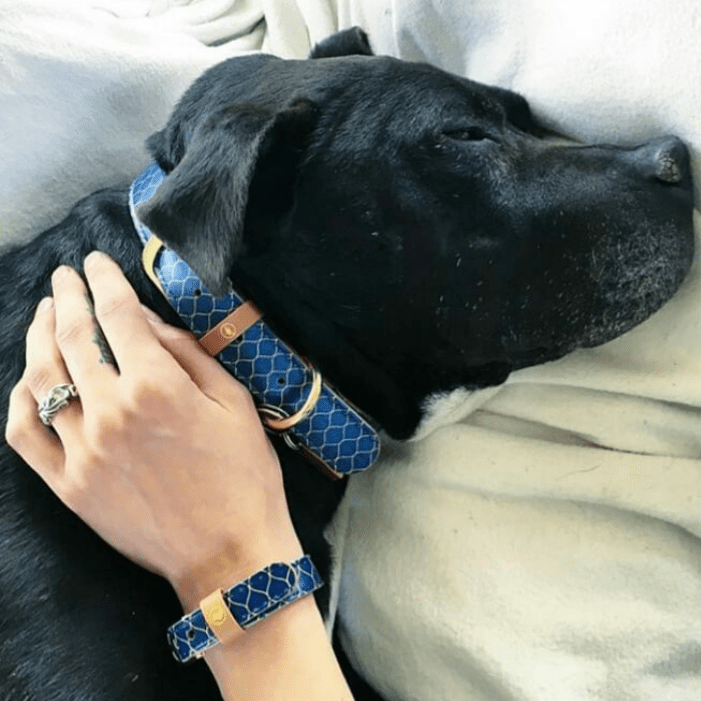 Dog and owner bracelet on sale