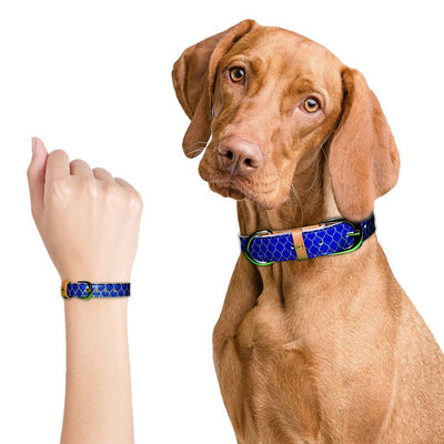 Argus - Argus "Gentleman" Dog Collar, Leash - PU Animal Friendly Vegan Leather