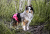 Heat Pants - Finnero Ballerina Heat Pants (Pink) For Female Dogs - Protect Furniture, Prevent Marking & Urine Leakage