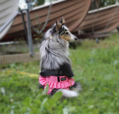 Heat Pants - Finnero Ballerina Heat Pants (Pink) For Female Dogs - Protect Furniture, Prevent Marking & Urine Leakage