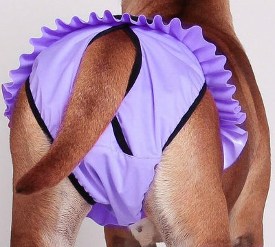 Heat Pants - Finnero Ballerina Heat Pants (Purple) For Female Dogs - Protect Furniture, Prevent Marking & Urine Leakage