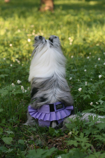 Heat Pants - Finnero Ballerina Heat Pants (Purple) For Female Dogs - Protect Furniture, Prevent Marking & Urine Leakage