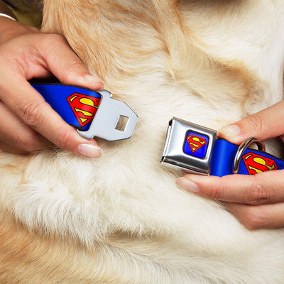 Buckle-Down - Superman - Collar, Leash For Dogs - Patented