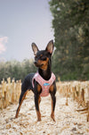 Glow Harness - Plush Step In Glitter GLOW Dog Harness (Pink) - Quick Release Patented Snap Button