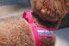 T-harness - Hakusan Comfort Just Fit Dog T-Harness (Raspberry X Hot Pink) - Neoprene Padding + Reflective Strips