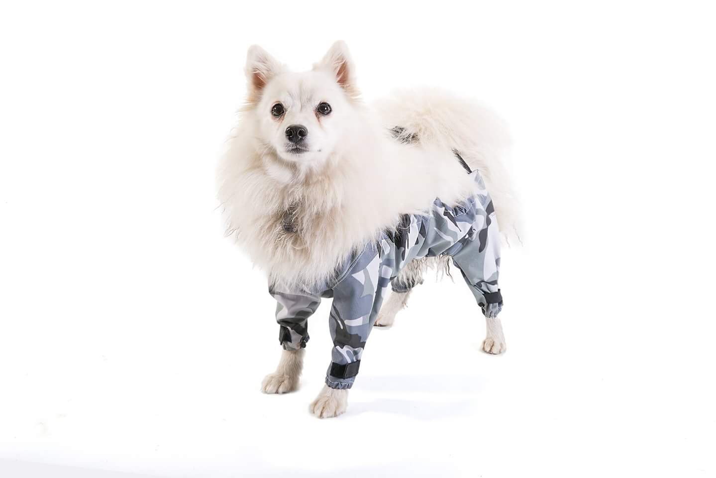 Trouser dog clearance