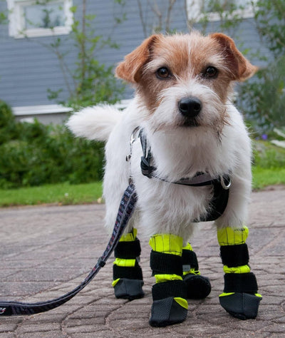 Booties - Finnero Kura Protective Dog Booties (Yellow / 2pc) - Super Light & Protects Paws