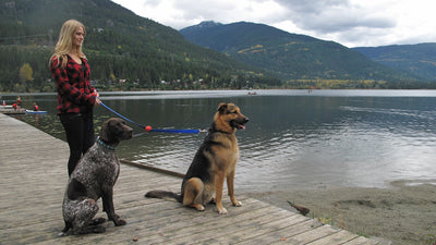 Lead Mate - Lead Mate (Ergonomic) - Helps You Walk + Train Dogs That Pull On Walks.