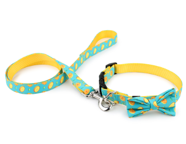 NV Bow Tie Collar Leash - Lemon Squeeze - Removable Bow Tie Teal Collar, Leash For Dogs