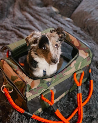Pet Carrier - Roverlund Pet Carrier (Car Seat + Carrier + Mobile Dog Bed) - Camo / Orange
