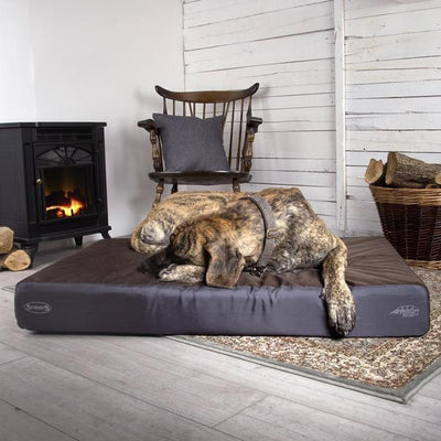 Scruffs - Scruffs ArmourDillo Orthopaedic Dog Bed (Brown) - Chew Resistant + Waterproof