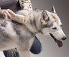 SleekEZ - SleekEZ® #1 Best Seller Deshedding Dog Brush / Grooming Tool - Patented Product