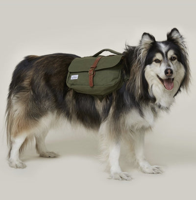 Ranger Dog Pack - Wolf Republic Ranger Dog Pack (4 Sizes | 2 Colours) - Ideal For Day Hikes And Overnight Adventures